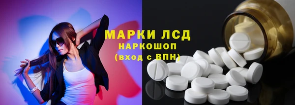 хмурый Каменногорск