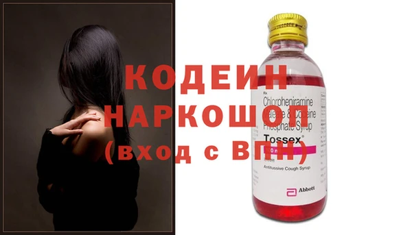 хмурый Каменногорск