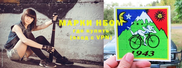 хмурый Каменногорск