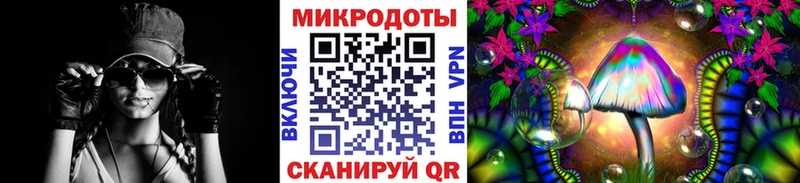 где найти Кувшиново Псилоцибиновые грибы Cubensis
